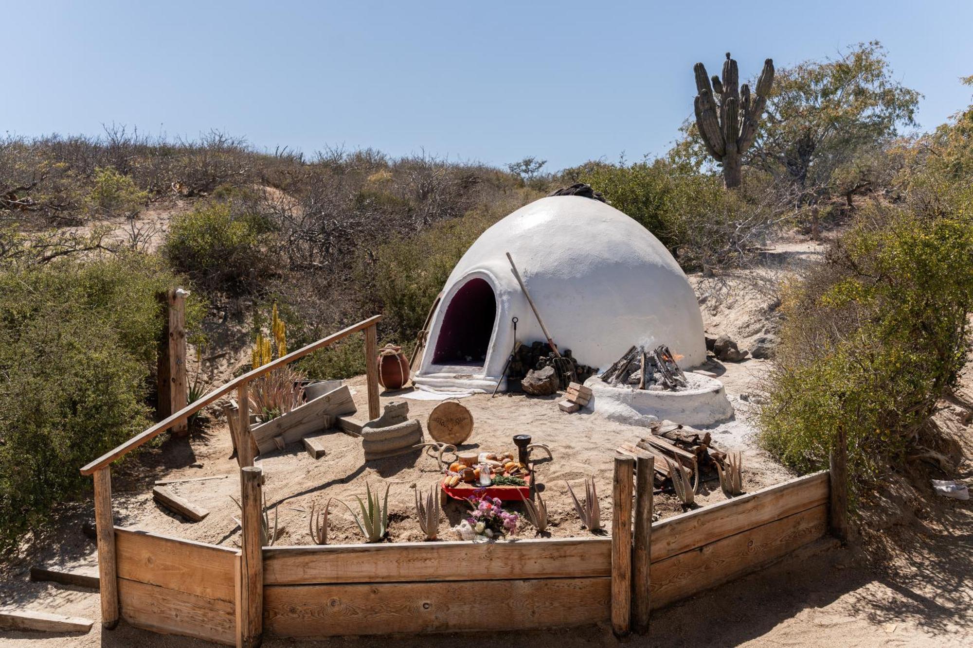 Готель Nest Baja Сан-Хосе-дель-Кабо Екстер'єр фото